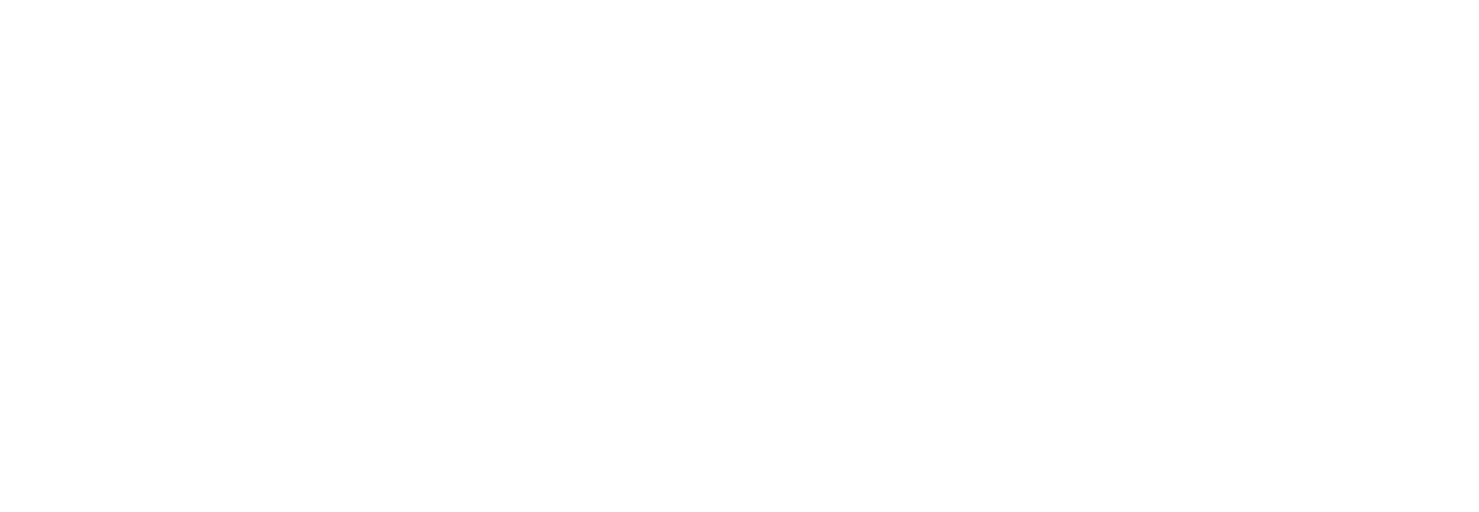 Lenka Weber